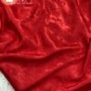 Vải Ruby may áo dài 1